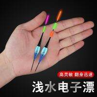 ❁☽❅ Small shallow noctilucent floats strikingly high sensitive mouth gently slide bottom hole float grass carp dedicated electronic