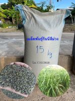 เมล็ดพันธุ์หญ้ากินนีสีม่วง 15 กิโล