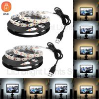 5M Led Strip Lights Tv Led Lights Tape 2835SMD Warm White/White Flexible Strip Light Led Tape DC5V Usb Lights For Room Decor