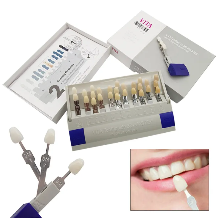 29 Colors Dental Tooth Shade Toothguide Guide With Color Colorimetric