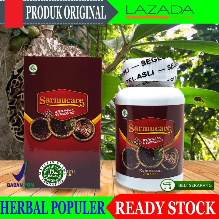 Walatra Sarmucare Produk Herbal Sarang Semut Berbentuk Kapsul Untuk ...