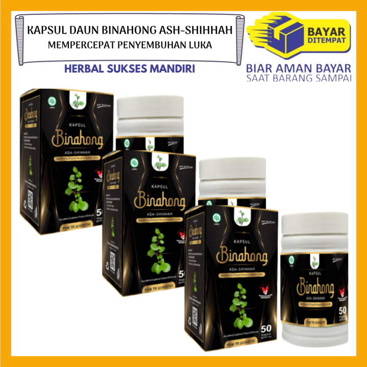 Paket 3 Botol Herbal Ekstrak Kapsul Daun Binahong Ash Shihah 50kapsul