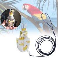 Walking Flying Pet With Diaper Accessories Band Out Cute Training Outdoor Supplies Bird Clothing Adjustable Parrot Traction Rope