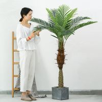 [COD] Needle sunflower coconut tree simulation plant floor-to-ceiling potted indoor living room decorations wholesale ornaments flower factory