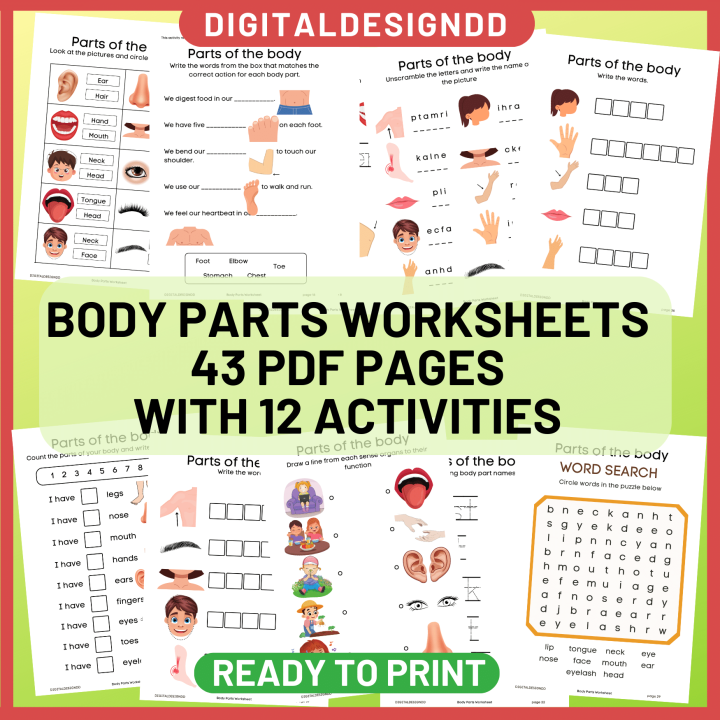 Body Parts Pdf Worksheets For Toddler Preschool Kids Lembaran Kerja 