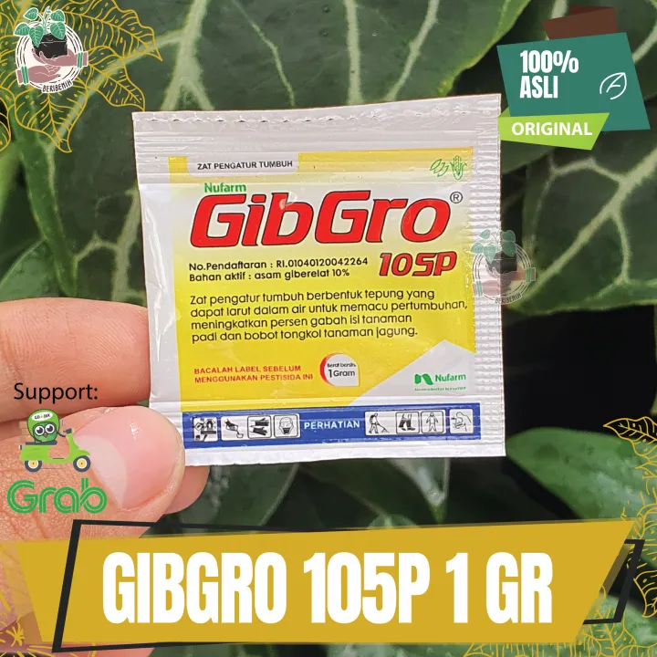 Gibgro 10 SP Zat Hormon Pengatur Pertumbuhan Tanaman Hias Bunga Buah ...