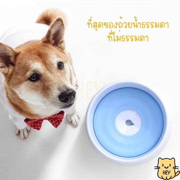 ที่ให้น้ำสัตว์เลี้ยง-ป้องกันการเล่นน้ำ-ป้องกันฝุ่น-เพื่อแมว-สุนัข-floating-bowl-ถ้วยน้ำ-ชามน้ำ