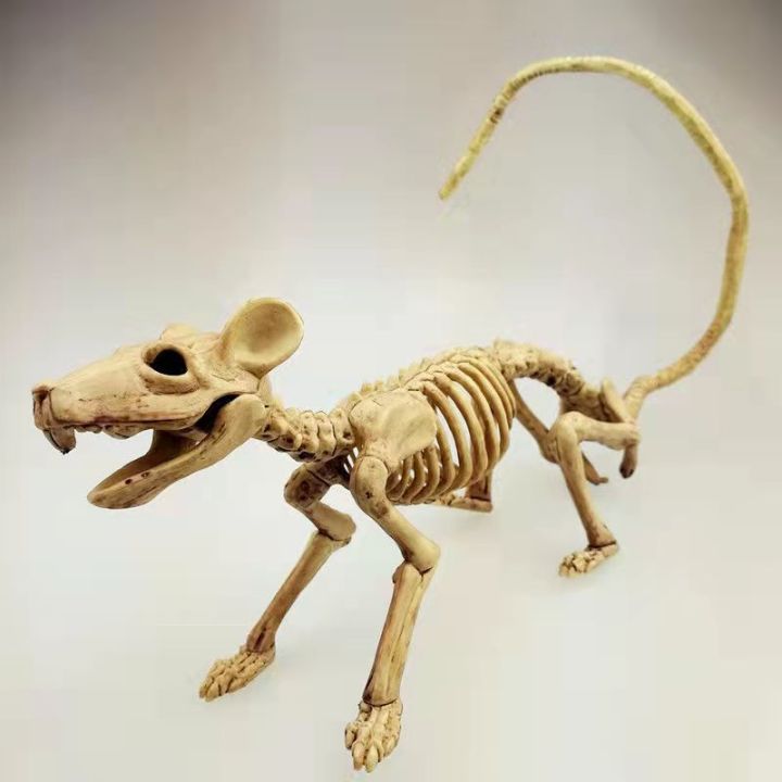 โครงกระดูกแมวและหนูโครงกระดูกสำหรับตกแต่งฮาโลวีน-kelton-สัตว์-reaper-กระดูกสัตว์ในสัตวแพทย์วิทยาศาสตร์