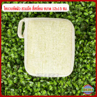 ใยบวบขัดผิว ใยบวบขัดตัว ใยบวบธรรมชาติ ใยบวบด้านเดียว 12x15 ซม. สี่เหลี่ยม Natural Loofah Pad