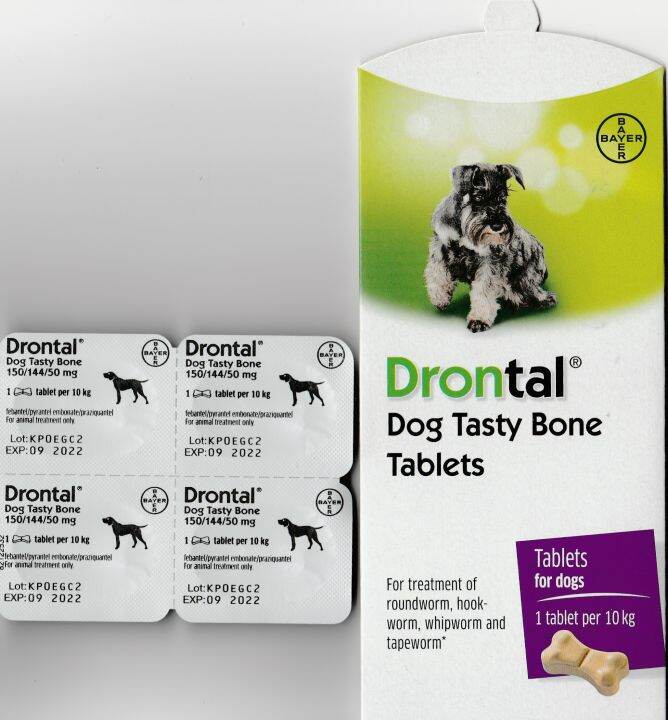 Drontal Plus Tablet for Dogs (1 tablet) (Original) Lazada