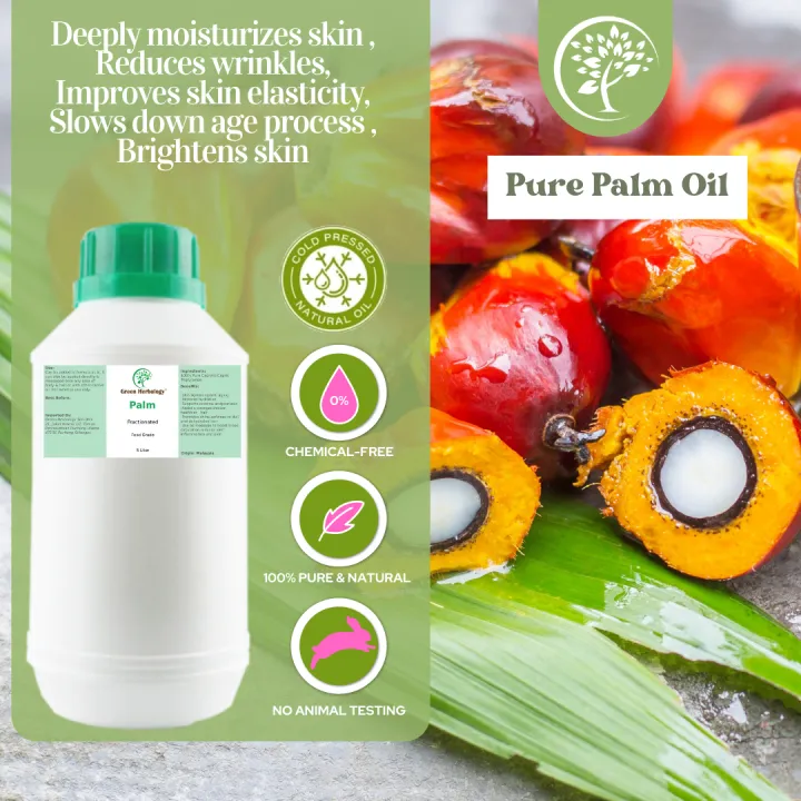 Fractionated Palm Oil 5 Liter Lazada