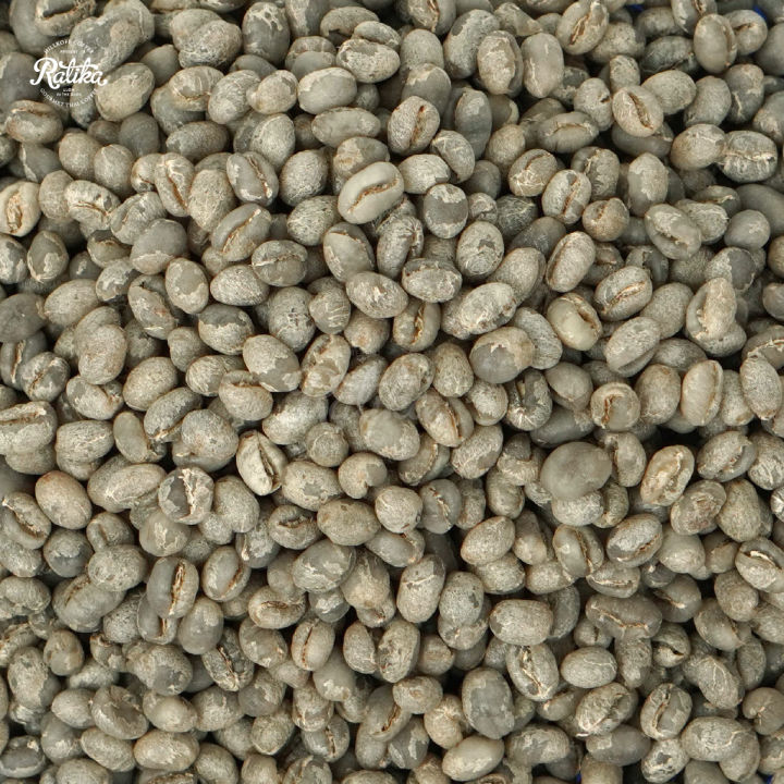 ratika-green-bean-green-bean-wet-22-23-arabica-huai-san-peaberry-1-kg-เมล็ดกาแฟสาร-ห้วยส้าน-peaberry