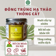 Đông trùng hạ thảo THƯỢNG HẠNGĐông y gia truyền Thông Cát