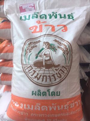 ส่งฟรี กข79 พันธุ์ข้าวเจ้านุ่ม กข79 ใหม่ ชั้นพันธุ์ขยาย(รุ่น2) กรมการข้าว