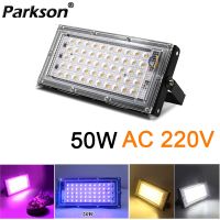 【CW】 Flood 50W AC220V Outdoor Lighting Garden Lamps Landscape Reflector Street Projector Floodlight