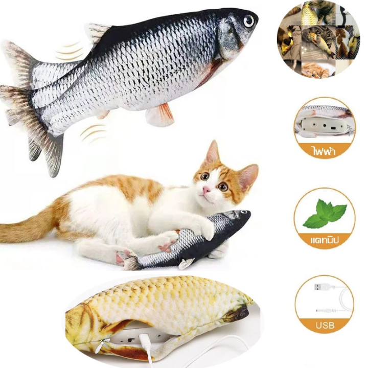cai-cai-ตุ๊กตาปลาขยับได้เสมือนจริง-ของเล่นแมว-การชาร์จ-usb-ปลาจำลอง-ของเล่นสัตว์เลี้ยง