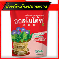 ส่งฟรี ปุ๋ยออสโมโค้ท 13-13-13 (สูตร 3 เดือน) (1kg) ส่งจากกรุงเทพ ตรงปก