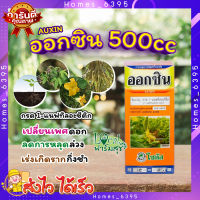 ออกซิน (Auxin) 500cc ? สารควบคุมการเจริญเติบโตของพืช ช่วยในการออกดอก เปลี่ยนเพศดอกเป็นดอกเพศผู้ เพิ่มขนาดผล ป้องกันผลร่วง  เร่งเกิดราก