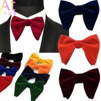 13 Color Xmas Gift Planted Velvet Bowtie Women Men Groom Wedding Funeral Party Wear Accessories Bow Tie Solid Horn Bow Ties knot