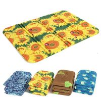 Portable folding pad Anti-dirty Park picnic mat Moisture proof pad cushion Outdoor Camping Mat XPE Waterproof Beach Mat Pad U3