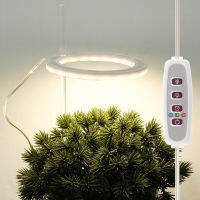 Circular Plant Growth Lights New Type Double-Head Direct Plug-In LED Grow Plant Light Standing Fill Light USB Charging