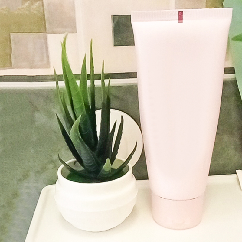 Simulasi Tumbuhan Pasu Mini Plastik Buatan Buatan Aloe Vera Palsu Pasu Meja Meja Rumah Hiasan Pejabat