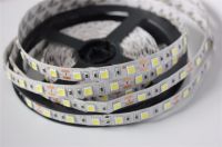 SMD 5050 LED Strip 5M 60led/m DC 12V 24V Flexible Ribbon Diode Tape 4000K NW RGB White Warm White Red Green Blue Yellow Light LED Strip Lighting