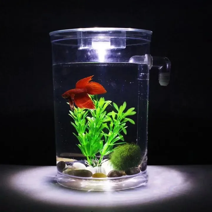 creative betta fish bowl ideas