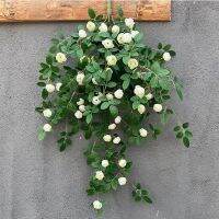 【CC】 Artificial flowers rose vines green leaves hanging family wedding garden decoration wall silk