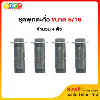 ชุดพุกตะกั่วพร้อมสกรู 5/16 จำนวน 4 ตัว/ชุด (มีสินค้าพร้อมส่งทันที)