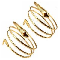 2X Fashion Coiled Snake Spiral Upper Arm Cuff Armband Bangle Bracelet Silver