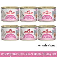 (ลด50%) อาหารเปียกแมว Royal Canin Babycat Mousse กระป๋องแบบเปียก รอยัล คานิน สำหรับลูกแมว และแม่แมวตั้งท้อง 195กรัม (6กระป๋อง) เฉพาะวันนี้เท่านั้น !!!!