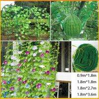 ◎™ เน็ตตาข่ายไนล่อน สําหรับปลูกต้นไม้ 4 ขนาด scrog net ตาข่ายปลูกผัก ตาข่ายไม้เลื้อย ตาข่ายไนลอน ตาข่ายทำค้างผักเลื้อย เน็ตตาข่าย ตาข่ายHDPE ตาข่ายไนล่อน Nylon net Plant Climbing Net Garden Vegetable Planting Nylon Fence Mesh Gardening Trellis Netting