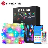 ZZOOI Dreamcolor USB LED String Light BT Music APP WS2812B Garland Fairy Lights for Christmas Birthday Party Decoration Waterproof