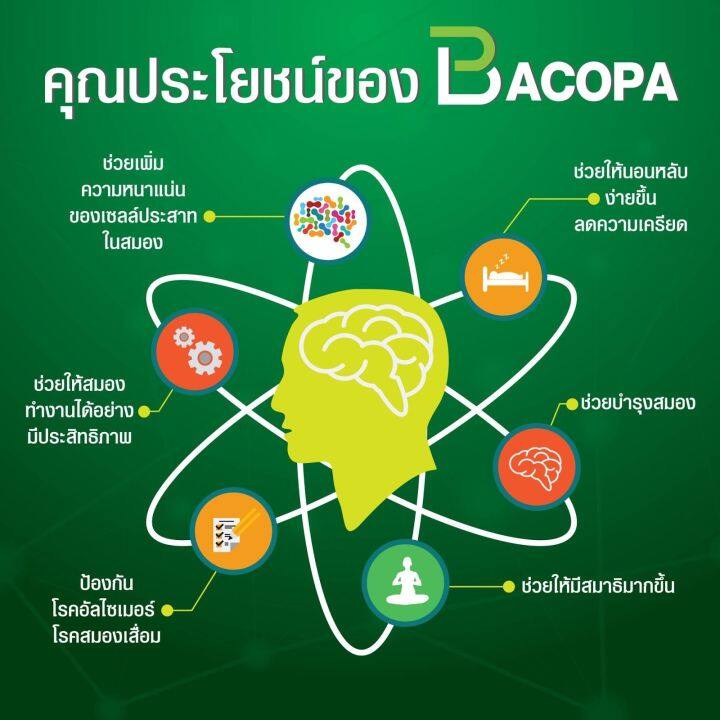 bacopa-บาโคพา-พรมมิ-สมอง-ความจำ