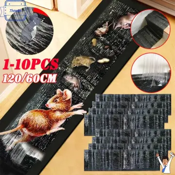 Humane Rat Catcher Traps Sticky Pads Pest Control Mouse Glue Trap - China  Mouse Glue Trap and Mouse Glue Board Trap price