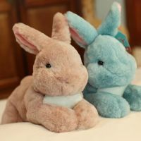 3550cm Rabbit Doll Soft Plush Toy Kawaii Ears Bunny Appease Toy For Kids Cute Plush Stuffed Animal Sleeping Toys Wedding Oranme