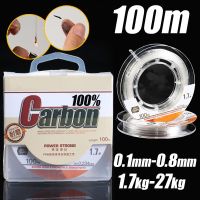 Monofilament Fishing line Fluorocarbon 100% Fluorocarbon line Fishing Thread Leash Cord Snood For Fishing Japan