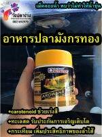 ?ใหม่ล่าสุด อาหารปลามังกรทอง AROWANA GOLD