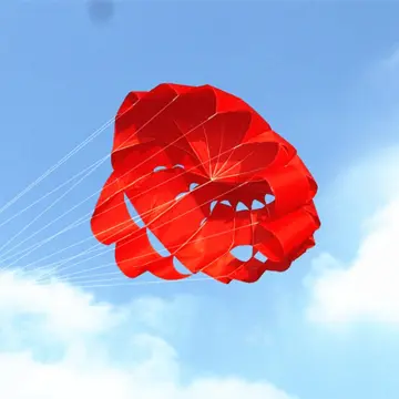 Large Soft Kite Dolphin Kite Nylon Kite Line Animated Kites Flying  Inflatable Kite Reel Outdoor Fun Toys Parafoil