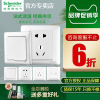 Schneider Official Flagship Store Switch Socket Panel Ruiyi Household Wall Oblique Five-Hole Socket 86 With Multi-Control