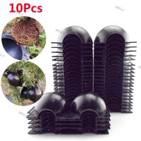 10pcs Plant Rooting Ball Fruit Tree Root Grow Box Plastic Case Propagation Box Grafting Rooter Growing High-pressure 6TH