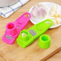 Stainless Steel PP Garlic Presses Ginger Cutter Candy Color Plastic Grinding Tool Kitchen Grater Grinder