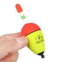 2Pcs EVA Luminous Fishing Night Float Light Stick Foam Plastic Bobber Sea Rock Fishing Striking Floats 5/8/10/15/20/30/40/50/60g Accessories