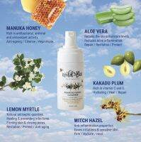 Wild Bee Foaming Facial Cleanser โฟมล้างหน้า โฟมมิ่ง เฟเชียล คลีนเซอร์ เพื่อขจัดเครื่องสำอางและสิ่งสกปรกอย่างอ่อนโยน ปลอดภัยด้วยสารสกัดจากธรรมชาติ