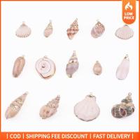 GOOD MOOD BEAUTY 20pcs ทะเลทะเลทะเล เปลือกหอย cowrie สีขาวธรรมชาติ 10รูปแบบ เปลือกหอยสังข์ ต่างหู. ดีไอวาย การทำเครื่องประดับ