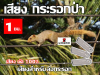 เสียงกระรอกป่า นาน 1 ชั่วโมง USB แฟลชไดร์ฟ หมานๆๆ