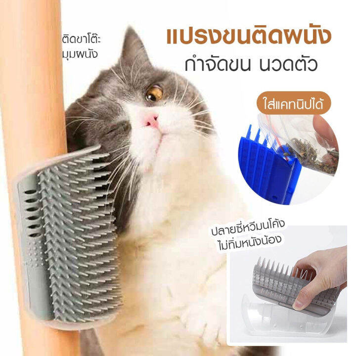 พร้อมส่ง-แปรงนวดแมว-แปรงหวีขนสำหรับสัตว์เลี้ยง-รุ่นติดมุมนวดแมว-สำหรับน้องแมวถู-แปรงหวีสำหรับสัตว์เลี้ยง