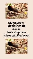 เสียงธรรมชาติ เสียงไก่ป่าตัวเมีย  เสียงชัด รับประกันคุณภาพ (เสียงต่อสัตว์ ไฟล์ MP3)