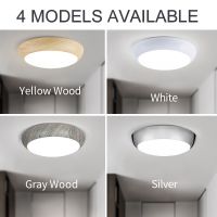 Dimmable Waterproof LED Ceiling Lights 220V 110V AC 38W For Bedroom Living Room Bathroom Lighting Kitchen Fixture Morden Lamp